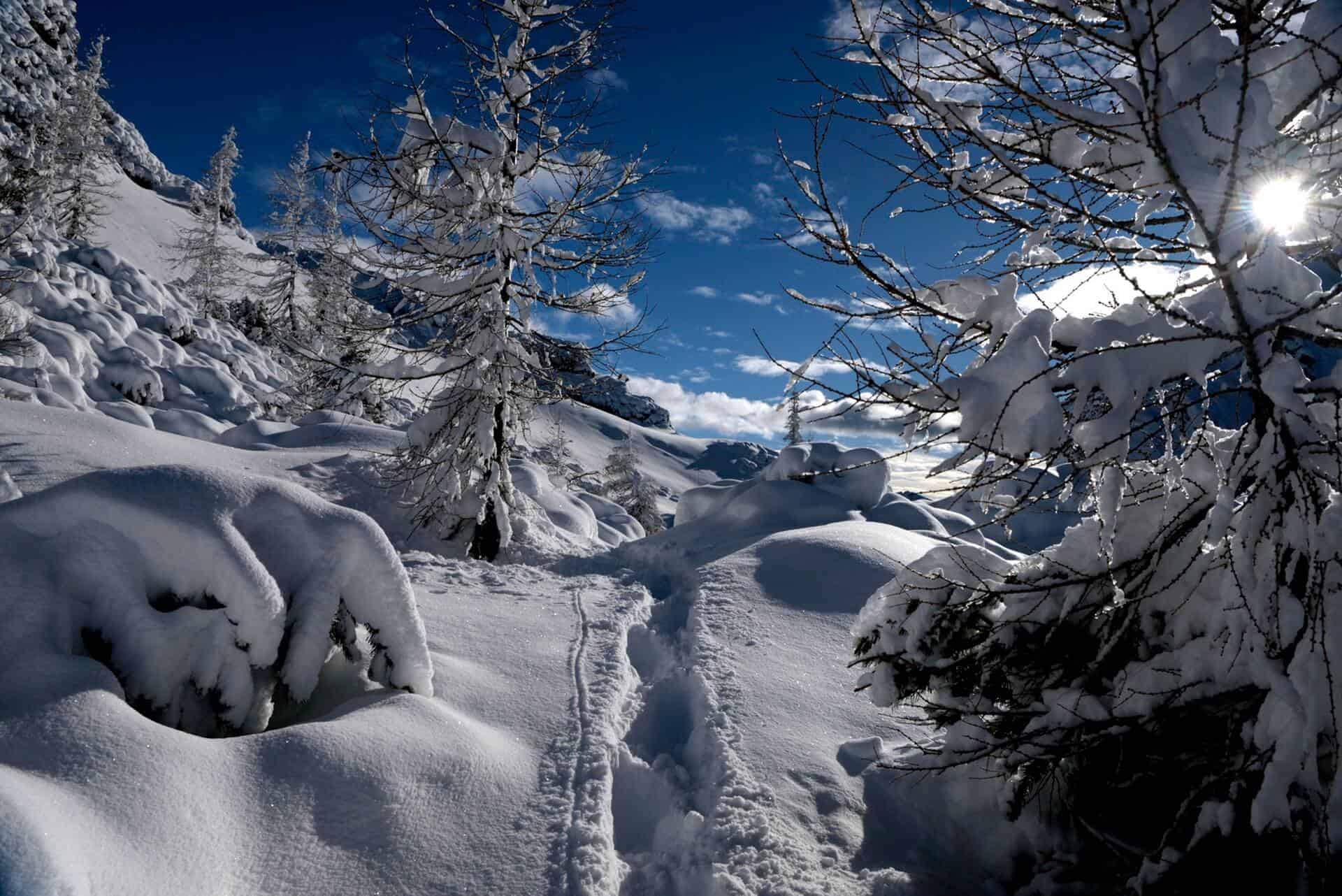 Photos from Vršič Erjavčeva koča na Vršču