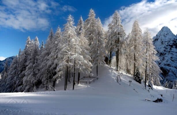 Zlatko Jaklin: Die Seele des Winters auf dem Vršič-Pass einfangen