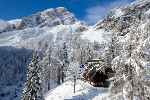 March is also beautiful