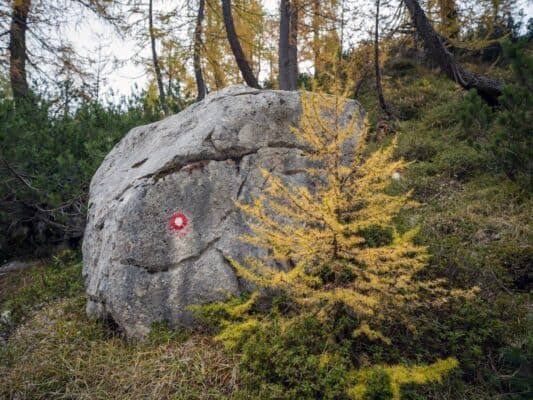 Erjavčeva koča - Slemenova špica - Sleme