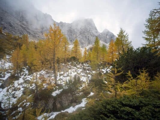 Erjavčeva koča - Slemenova špica - Sleme