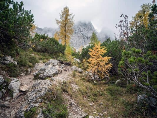 Erjavčeva koča - Slemenova špica - Sleme