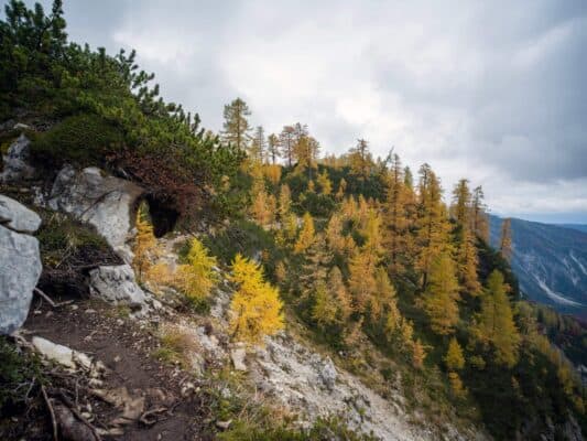Erjavčeva koča - Slemenova špica - Sleme