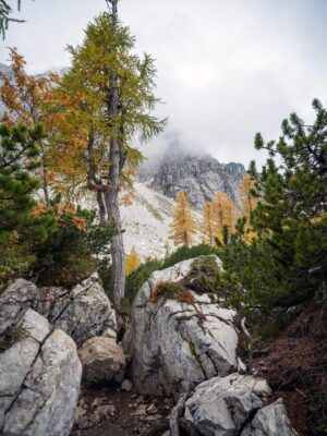 Erjavčeva koča - Slemenova špica - Sleme