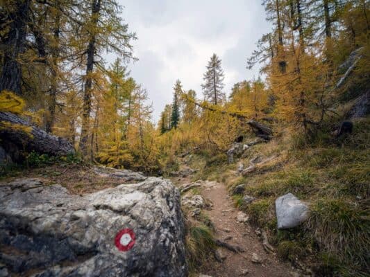 Erjavčeva koča - Slemenova špica - Sleme