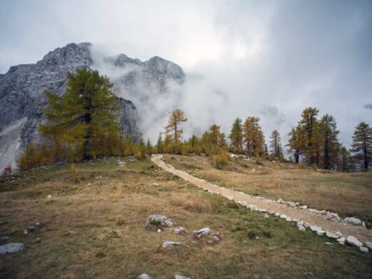 Ruhige Berglandschaft mit einem Weg, der zur Erjavčeva-Hütte führt, umgeben von Kiefern und nebligen Gipfeln.