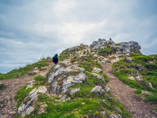 Felsiges Berggelände mit Wanderwegen bei der Erjavčeva-Hütte, Slowenien, bei bewölktem Wetter.