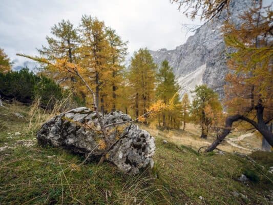 Erjavčeva koča - Slemenova špica - Sleme