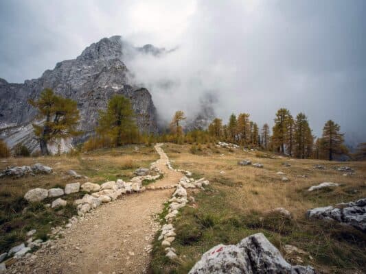 Felsen mit Wegweiser vor einer Wald- und Berglandschaft, Wanderweg in der Nähe der Erjavčeva-Hütte, Slowenien.