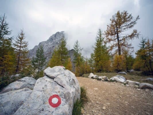 Felsen mit Wegweiser vor einer Wald- und Berglandschaft, Wanderweg in der Nähe der Erjavčeva-Hütte, Slowenien.