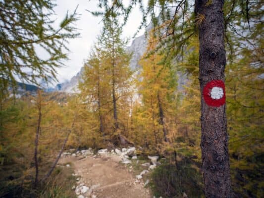 Ein malerischer Bergpfad, der zur Erjavčeva-Hütte führt, mit herbstlichen Bäumen und einem schroffen Berggipfel im Hintergrund.