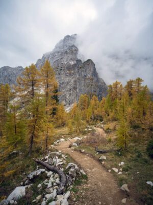 Ein malerischer Bergpfad, der zur Erjavčeva-Hütte führt, mit herbstlichen Bäumen und einem schroffen Berggipfel im Hintergrund.
