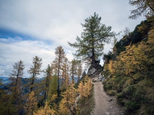 Üppiger Bergpfad, der zur Erjavčeva-Hütte in malerischer Alpenlandschaft führt.